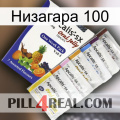 Низагара 100 11